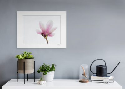 Macro foto van een roze magnolia - Fine Art